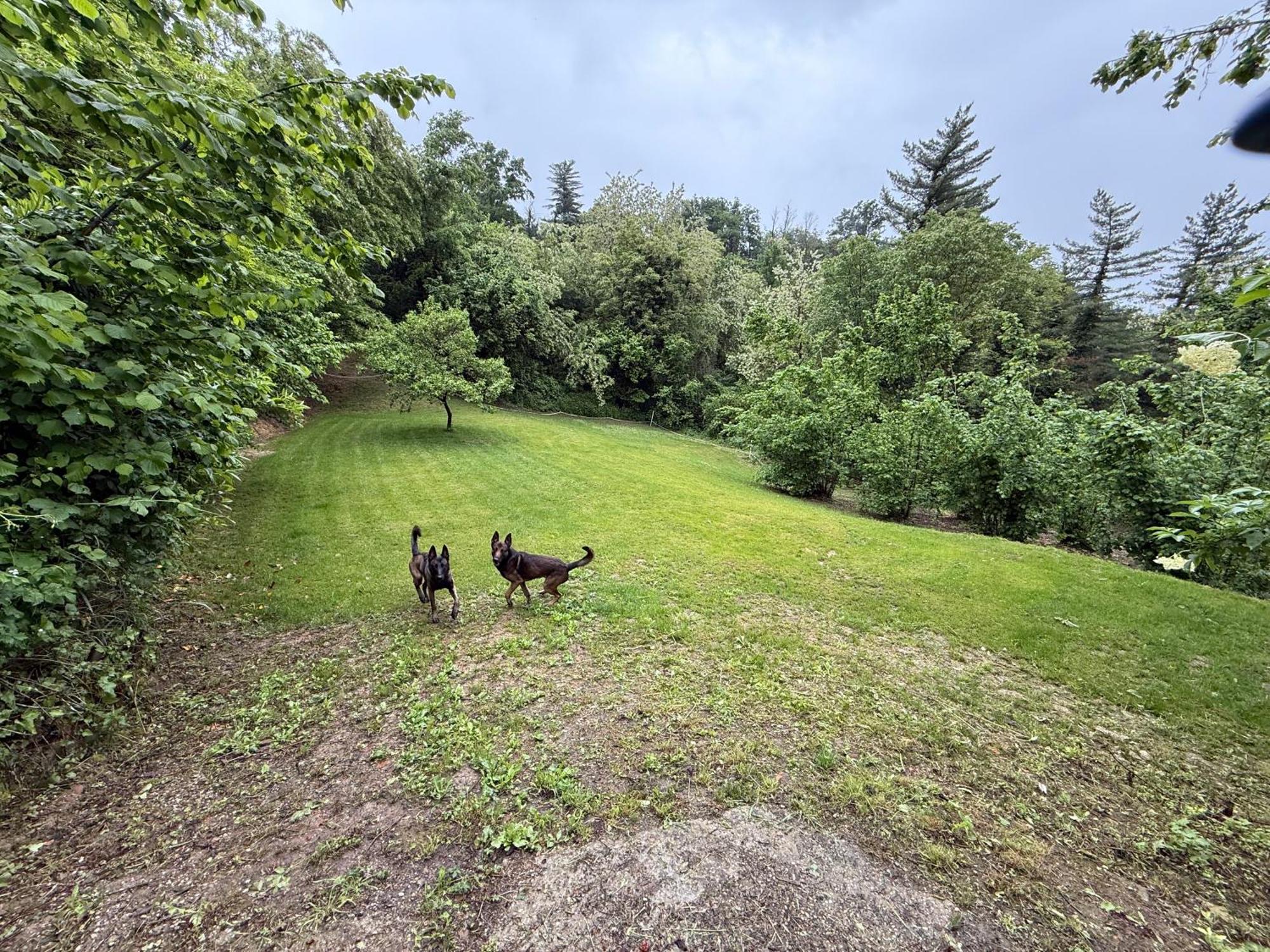 Bnb Dog And Friend Rocchetta Tanaro Ngoại thất bức ảnh